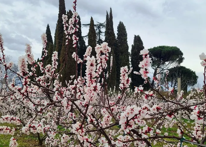 Calicanto - Dimora Nel Parco Séjour chez l'habitant *