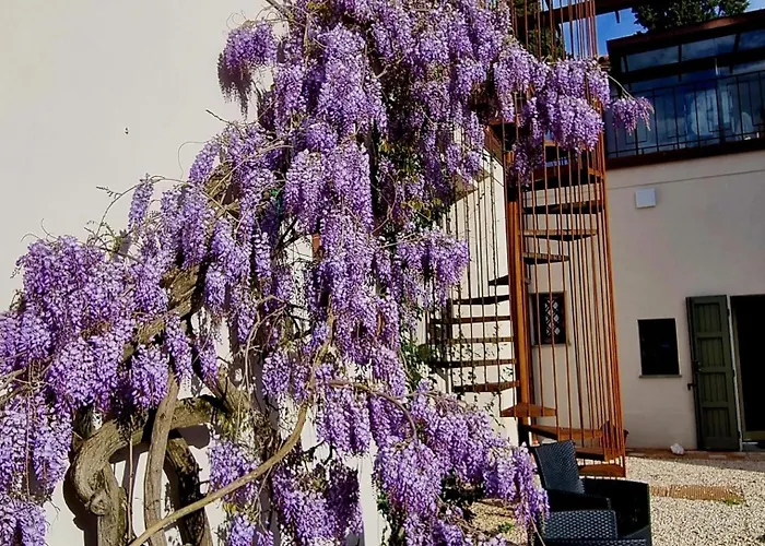 Calicanto - Dimora Nel Parco