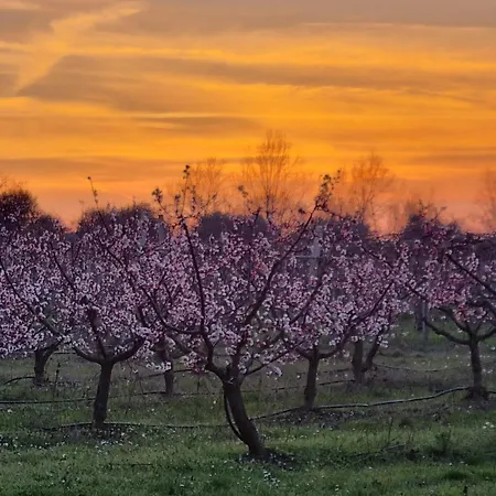 Calicanto - Dimora Nel Parco Δωμάτια σε οικογενειακή κατοικία