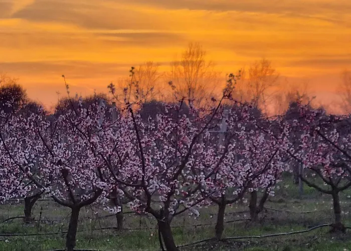 Calicanto - Dimora Nel Parco Alloggio in famiglia