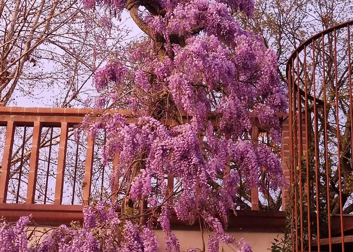 Calicanto - Dimora Nel Parco * Faenza